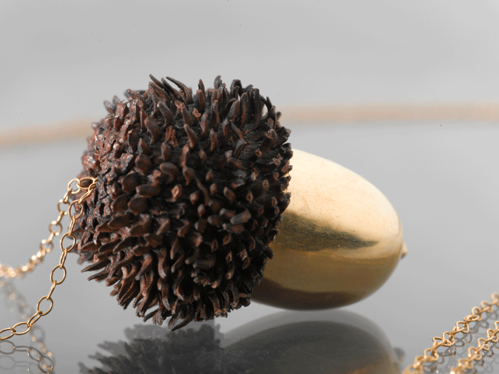 A real Acorn plated in 24k gold.